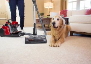 Best Vacuum for Hard Floors and Dog Hair 10 Best Vacuums for Pet Hair On Carpet Hardwood Floor