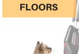 Best Vacuum for Hard Floors and Dog Hair Best Stick Vacuum for Pet Hair Hardwood Floors 2019