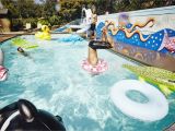 Best Water Slides for Backyard Safe Diving Tips for Swimming Pools