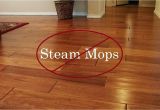 Best Way to Clean Hardwood Floors Steam Mop Steam Cleaners for Hardwood Floors Podemosleganes