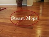 Best Way to Clean Hardwood Floors Steam Mop Steam Cleaners for Hardwood Floors Podemosleganes