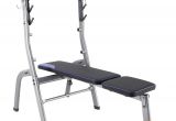 Best Workout Bench for Home Domyos Weight Bench 100 by Decathlon Buy Online at Best Price On