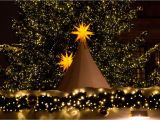 Bethlehem Lights Replacement Bulbs 43 Beautiful Of Bethlehem Lights Christmas Trees Christmas Ideas 2018