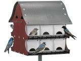 Bird Hardwood Floors Tulsa Ok Bird Houses Bird Wildlife Supplies the Home Depot