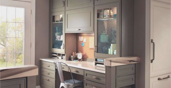 Black Kitchen Cabinets Ideas New Black Kitchen Cabinets Ideas Kitchen Ideas