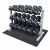 Body Vision Weight Bench Amazon Com Body solid Gdr363 Rfws Dumbbell Rack with Rubber