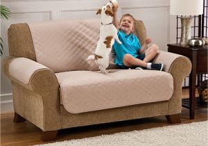 Boscov S Furniture sofas Good Pet Quilted Furniture Protector Boscov S