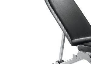 Bowflex 4.1 Bench Bowflex Selecttech 4 1 Adjustable Exercise Workout Weight Lifting