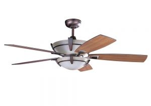 Bronze Colored Floor Fans Designers Choice Collection Calavera 52 In Oil Brushed Bronze