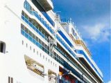 Bud Light Cruise 669 Best Cruising Images On Pinterest Cruises Princess Cruises