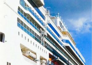 Bud Light Cruise 669 Best Cruising Images On Pinterest Cruises Princess Cruises