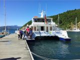 Bud Light Cruise Seafood Odyssea Cruise Do Marlborough sounds Picton