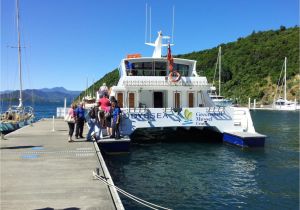 Bud Light Cruise Seafood Odyssea Cruise Do Marlborough sounds Picton