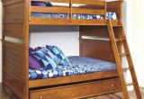Bunk Beds that Sit On the Floor Lovely Cargo Brand Bunk Beds Check More at Http Dust War Com Cargo