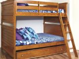 Bunk Beds that Sit On the Floor Lovely Cargo Brand Bunk Beds Check More at Http Dust War Com Cargo