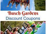 Busch Gardens Specials Find All Your Busch Gardens Discount Coupons Williamsburg and Tampa