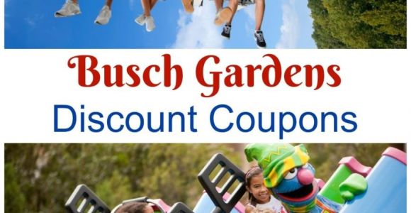 Busch Gardens Specials Find All Your Busch Gardens Discount Coupons Williamsburg and Tampa