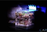 Cad Lights Aquarium 4g Mini Series 1804 M 125 00 Cadlights Think Outside the Cube