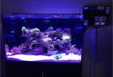 Cad Lights Aquarium My Review Of Cadlights Aquariums Reef2reef Saltwater and Reef