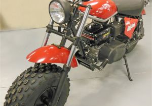 Canadian Tire Motorcycle Rack Trailmaster Mini Bike with torque Converter Mb200 2 Bmi Karts