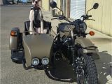 Canadian Tire Motorcycle Rack Waffles the Sidecar Dog Ural Motorcycles