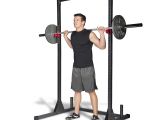 Cap Barbell Power Rack Stand the top 5 Best Power Racks Under 500 Worth Buying In 2018