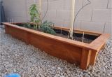 Cedar Boards for Raised Garden Beds Ana White Raised Cedar Beds Diy Projects