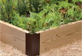Cedar Boards for Raised Garden Beds Cedar Boards for Raised Garden Beds Set Of 2 Gardeners Com