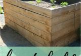 Cedar Boards for Raised Garden Beds Diy Raised Garden Beds Using Cedar Boards Pinterest Cedar Fence