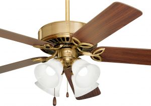 Ceiling Fan with Edison Lights Best Rated In Home Lighting Ceiling Fans Helpful Customer