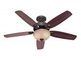 Ceiling Fan with Edison Lights Best Rated In Home Lighting Ceiling Fans Helpful Customer