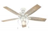 Ceiling Fan with Edison Lights Hunter Crown Canyon 52 In Led Indoor Outdoor Fresh White Ceiling