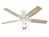 Ceiling Fan with Edison Lights Hunter Crown Canyon 52 In Led Indoor Outdoor Fresh White Ceiling