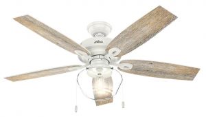 Ceiling Fan with Edison Lights Hunter Crown Canyon 52 In Led Indoor Outdoor Fresh White Ceiling