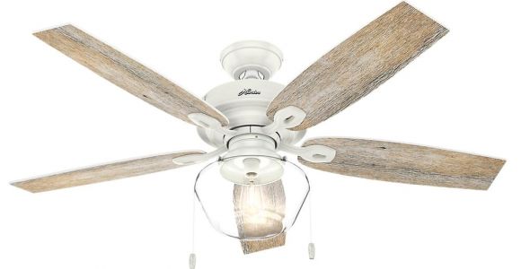 Ceiling Fan with Edison Lights Hunter Crown Canyon 52 In Led Indoor Outdoor Fresh White Ceiling