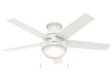 Ceiling Fan with Edison Lights White Outdoor Ceiling Fans Lighting the Home Depot