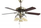 Ceiling Fans with Regular Light Bulbs Indoor Ceiling Fan Light Fixtures Finxin Fxcf03 New Style New