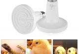 Ceramic Heat Lamp for Chickens 2018 150w E27 220v 230v Holder White Ceramic Heat Lamp Bulb Reptile