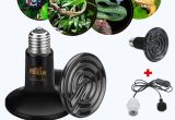 Ceramic Heat Lamp for Chickens Reptile Heating for Sale Lighting for Pet Reptiles Online Brands