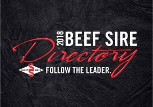 Chair Rock 5050 Gar 8086 2018 Beef Sire Directory by Kim West issuu