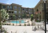 Cheap 3 Bedroom Apartments for Rent In Phoenix Az Photos and Video Of Senior Living at Matthew Henson Apartments In