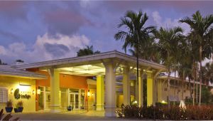 Cheap Hotels In Miami Gardens Miami Lakes Hotels Hotel Indigo Miami Lakes Hotel In Miami Lakes