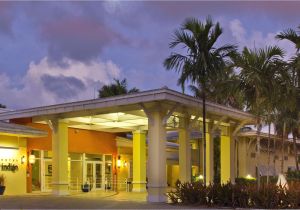 Cheap Hotels In Miami Gardens Miami Lakes Hotels Hotel Indigo Miami Lakes Hotel In Miami Lakes