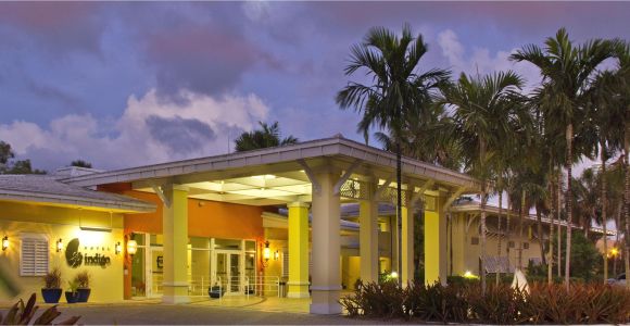 Cheap Hotels In Miami Gardens Miami Lakes Hotels Hotel Indigo Miami Lakes Hotel In Miami Lakes