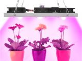 Cheap Led Grow Lights for Indoor Plants Cob Led Grow Light Full Spectrum Actual Power 50w 100w 150w 200w Led