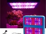 Cheap Led Grow Lights for Indoor Plants Double Chips Led Ir Uv Plant Grow Lights 1000w Full Spectrum Green