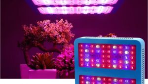 Cheap Led Grow Lights for Indoor Plants Double Chips Led Ir Uv Plant Grow Lights 1000w Full Spectrum Green