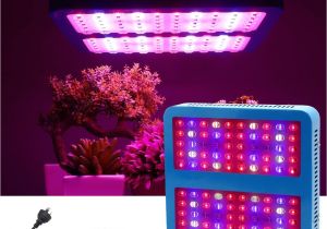 Cheap Led Grow Lights for Indoor Plants Double Chips Led Ir Uv Plant Grow Lights 1000w Full Spectrum Green
