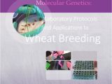 Children's Book Rack Australia Pdf Cimmyt Wheat Molecular Genetics