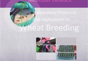 Children's Book Rack Australia Pdf Cimmyt Wheat Molecular Genetics